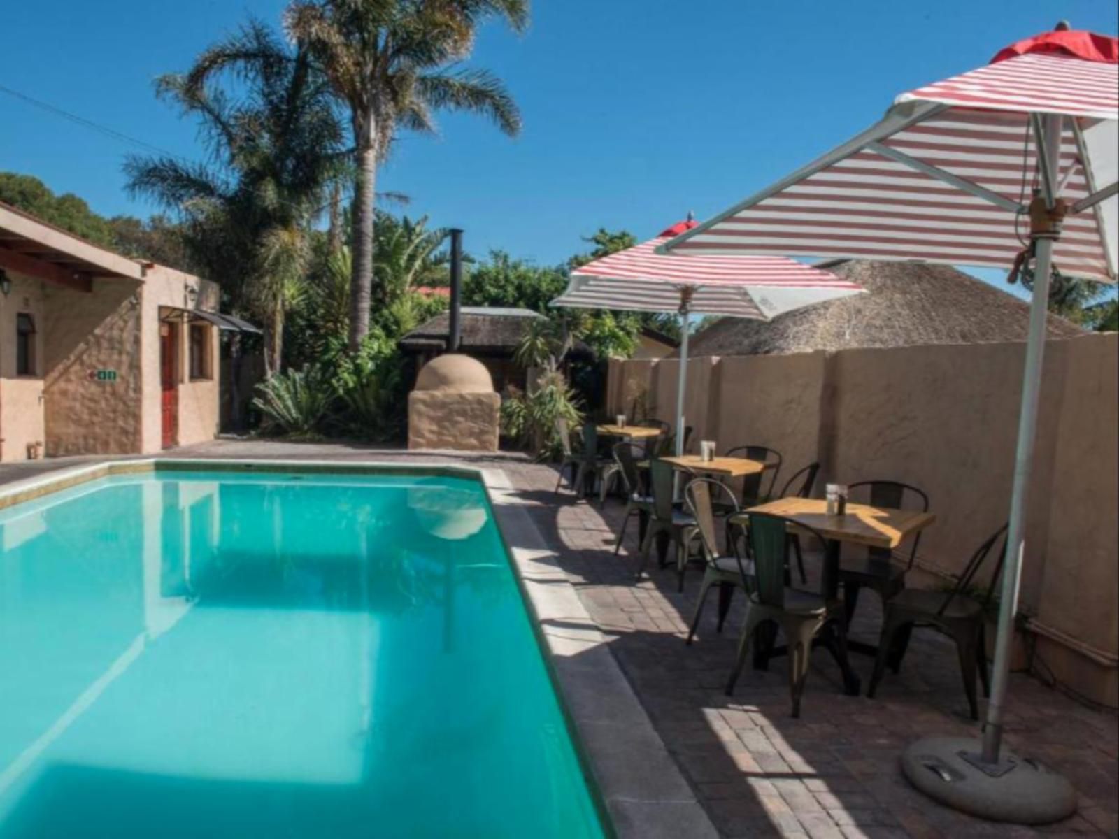 Ramasibi Bed And Breakfast Parow Cape Town Western Cape South Africa Palm Tree, Plant, Nature, Wood, Swimming Pool