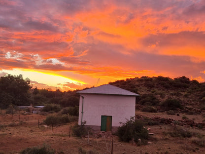 Ramino Guest Farm Hanover Northern Cape South Africa Cactus, Plant, Nature, Desert, Sand, Sunset, Sky