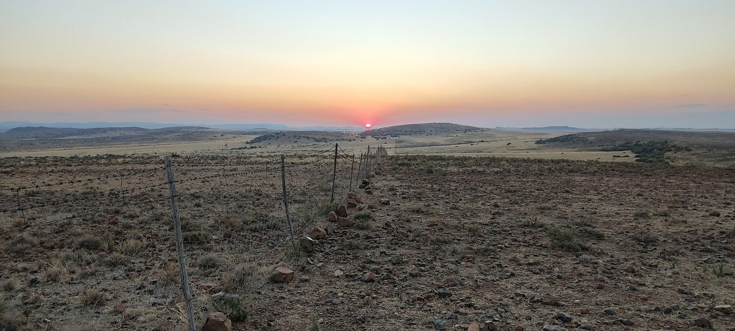 Ramino Guest Farm Hanover Northern Cape South Africa Desert, Nature, Sand, Lowland, Sunset, Sky