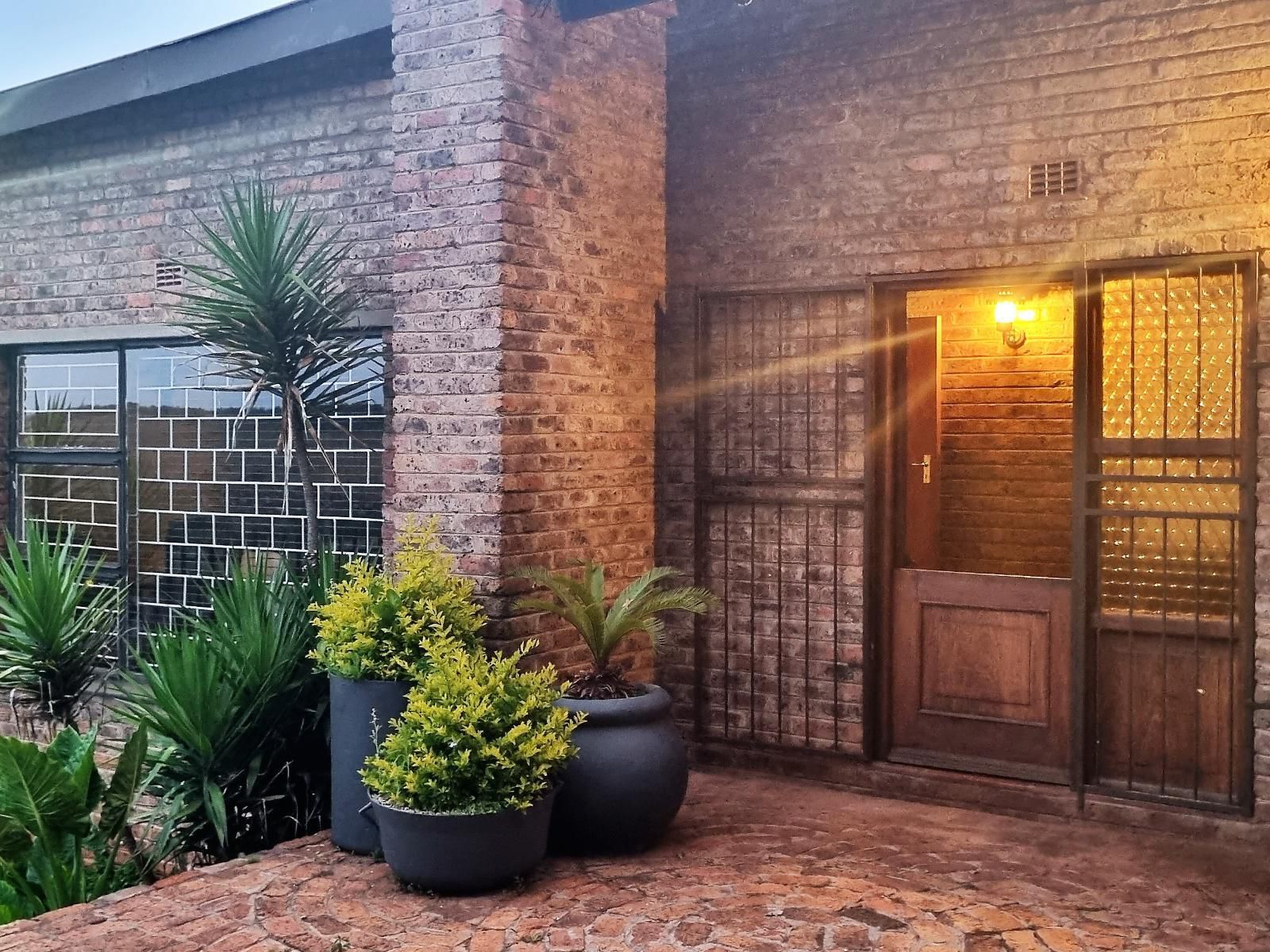 Rand Self Catering Accommodation Carolina Mpumalanga South Africa Brick Texture, Texture, Garden, Nature, Plant