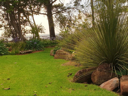 Rand Self Catering Accommodation Carolina Mpumalanga South Africa Sepia Tones, Palm Tree, Plant, Nature, Wood, Garden