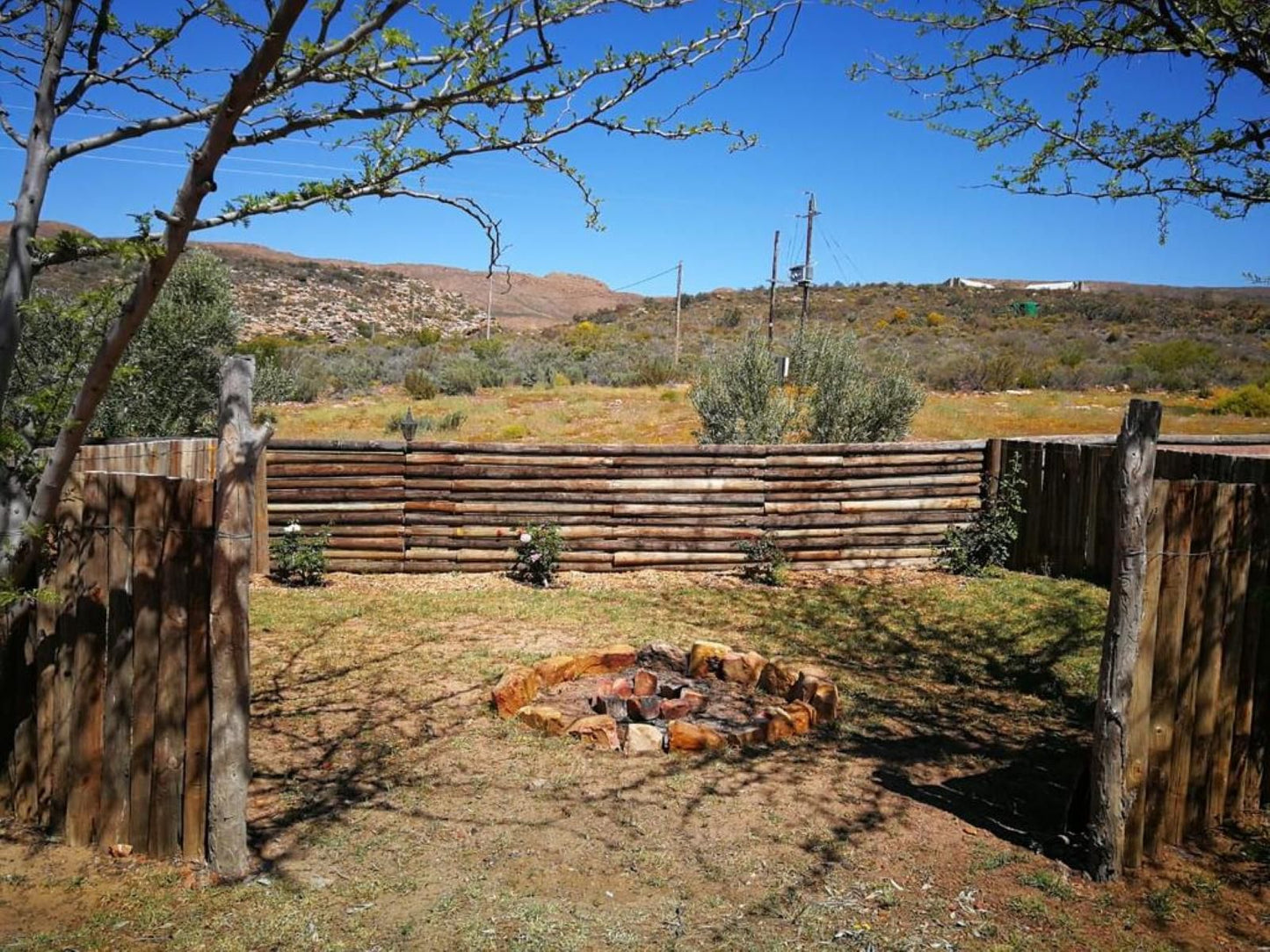 Rangers Reserve Touws River Western Cape South Africa Complementary Colors, Cactus, Plant, Nature