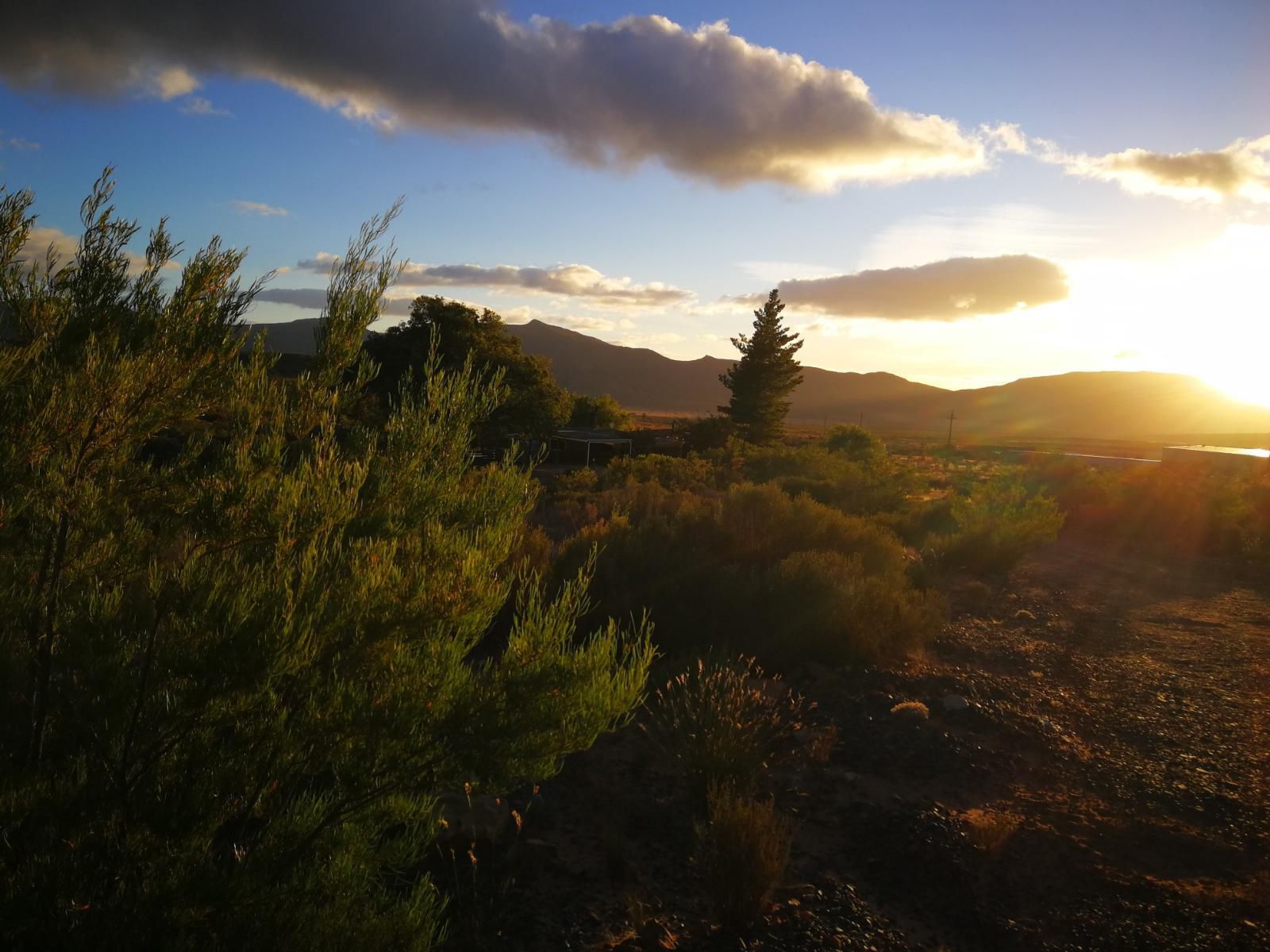 Rangers Reserve Touws River Western Cape South Africa Nature