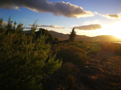 Rangers Reserve Touws River Western Cape South Africa Nature