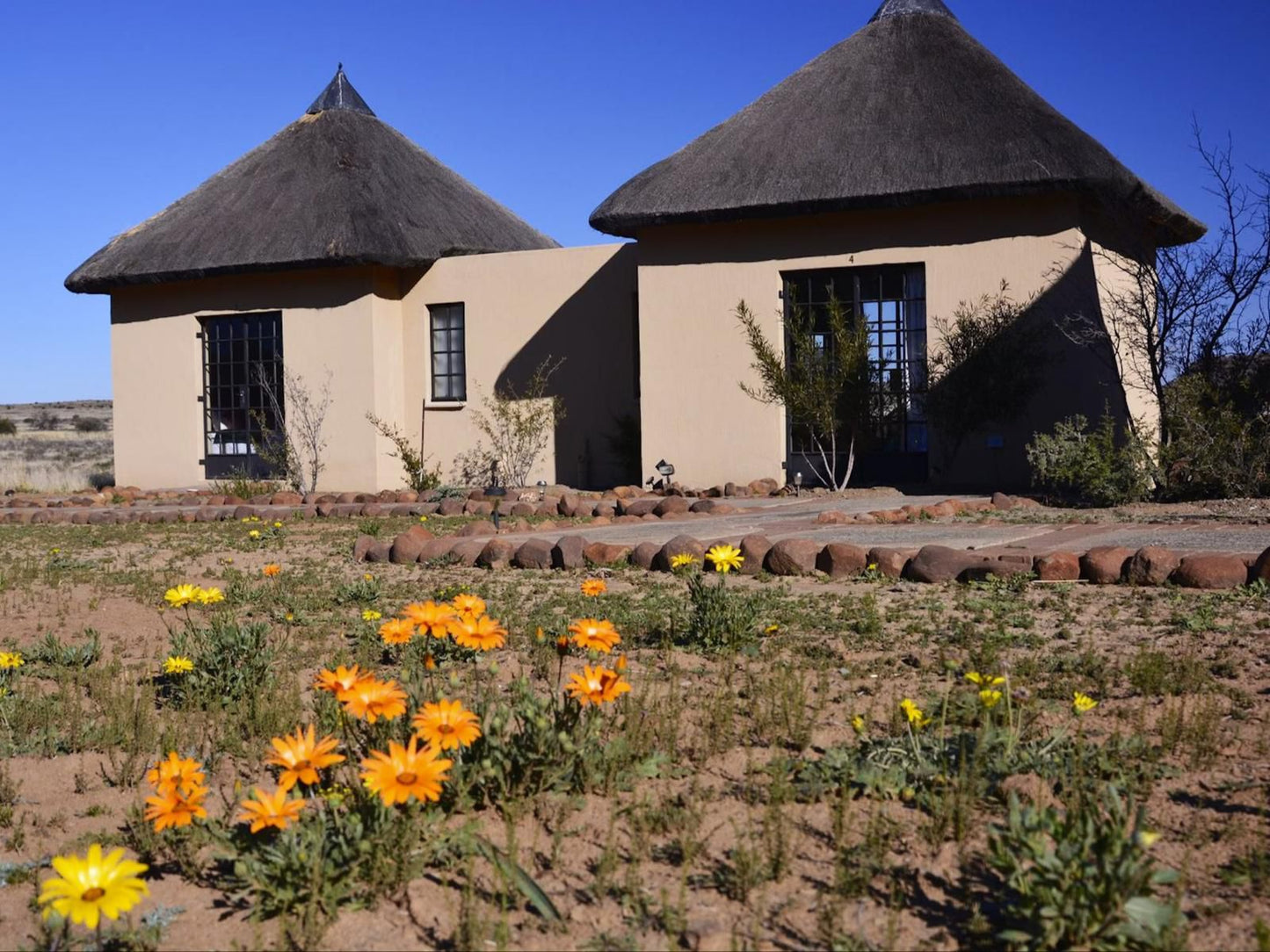 Raptor Ridge Lodge Gariep Dam Free State South Africa Complementary Colors, Plant, Nature