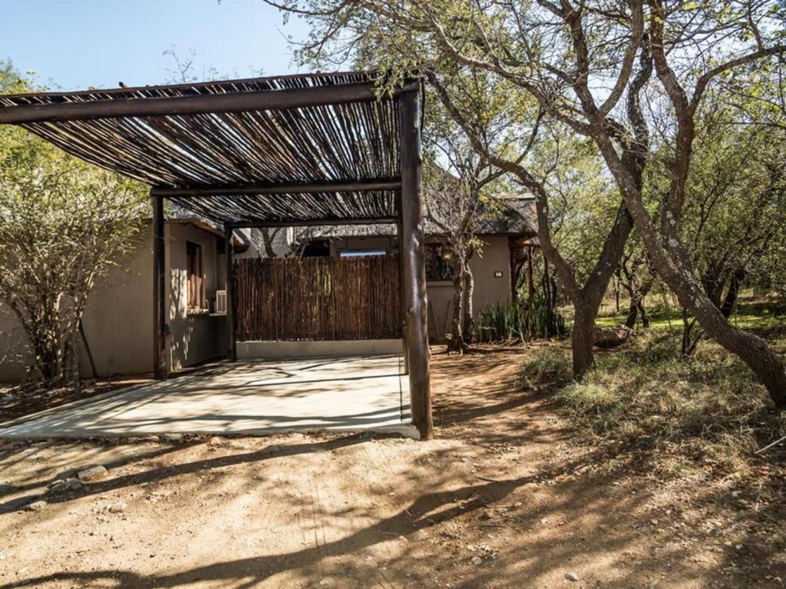 Hoedspruit Raptors Lodge No 16 Hoedspruit Limpopo Province South Africa 