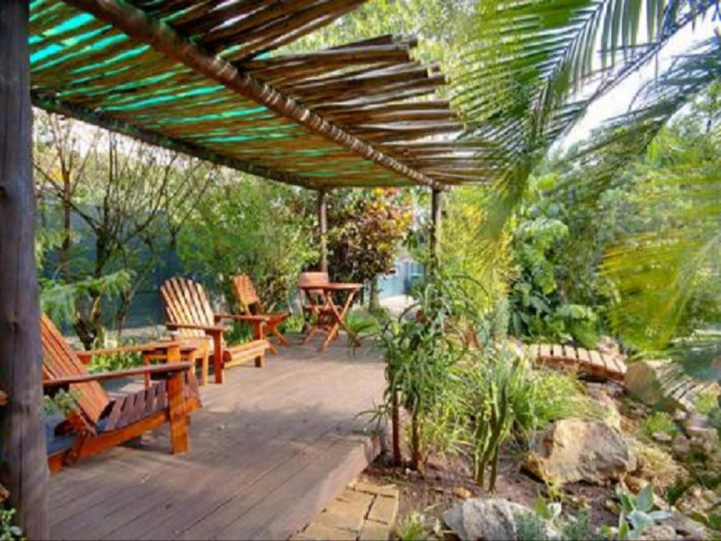 Raptor S Rest Bed And Breakfast Empangeni Kwazulu Natal South Africa Plant, Nature, Garden