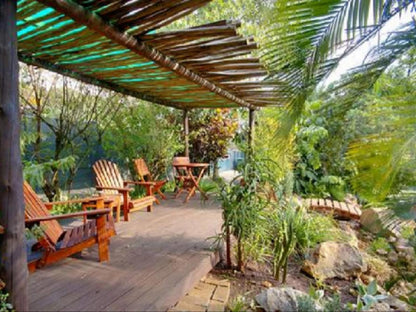 Raptor S Rest Bed And Breakfast Empangeni Kwazulu Natal South Africa Plant, Nature, Garden