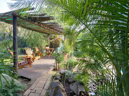 Raptor S Rest Bed And Breakfast Empangeni Kwazulu Natal South Africa Palm Tree, Plant, Nature, Wood, Garden