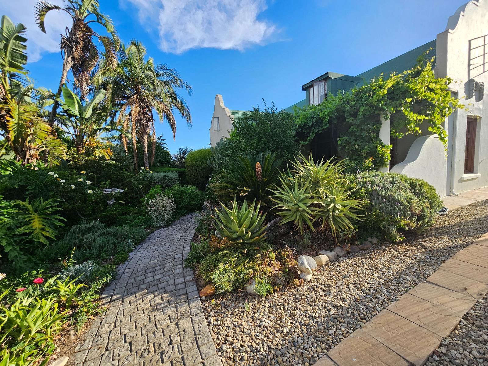 Rawsonville House, House, Building, Architecture, Palm Tree, Plant, Nature, Wood, Garden