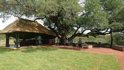 Re Tse Peli Game Lodge Naboomspruit Limpopo Province South Africa 