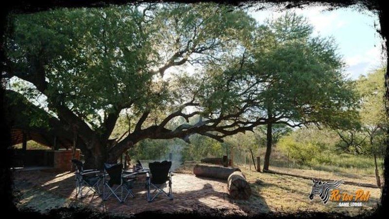 Re Tse Peli Game Lodge Naboomspruit Limpopo Province South Africa Plant, Nature, Tree, Wood