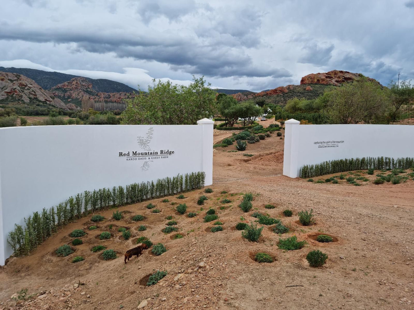 Red Mountain Ridge Karoo Oasis And Guest Farm Swartberg Private Game Reserve Western Cape South Africa Complementary Colors, Text, Cemetery, Religion, Grave