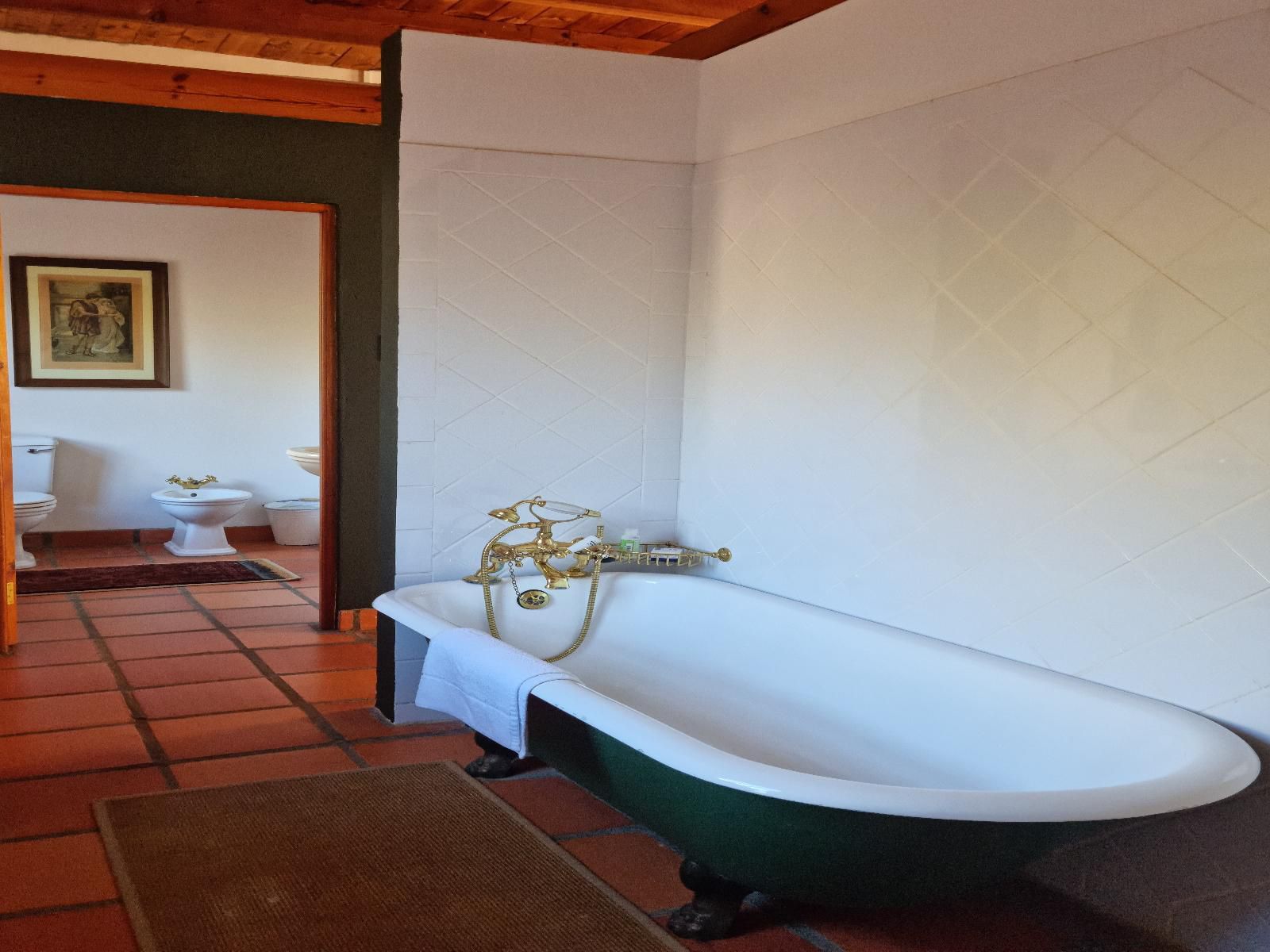 Red Mountain Ridge Karoo Oasis And Guest Farm Swartberg Private Game Reserve Western Cape South Africa Complementary Colors, Bathroom