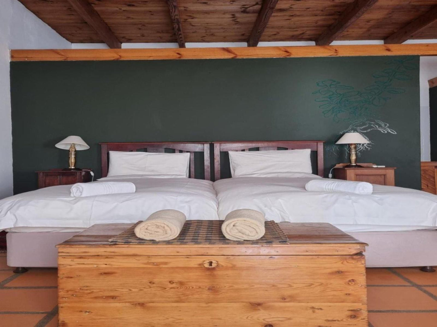 Red Mountain Ridge Karoo Oasis And Guest Farm Swartberg Private Game Reserve Western Cape South Africa Bedroom