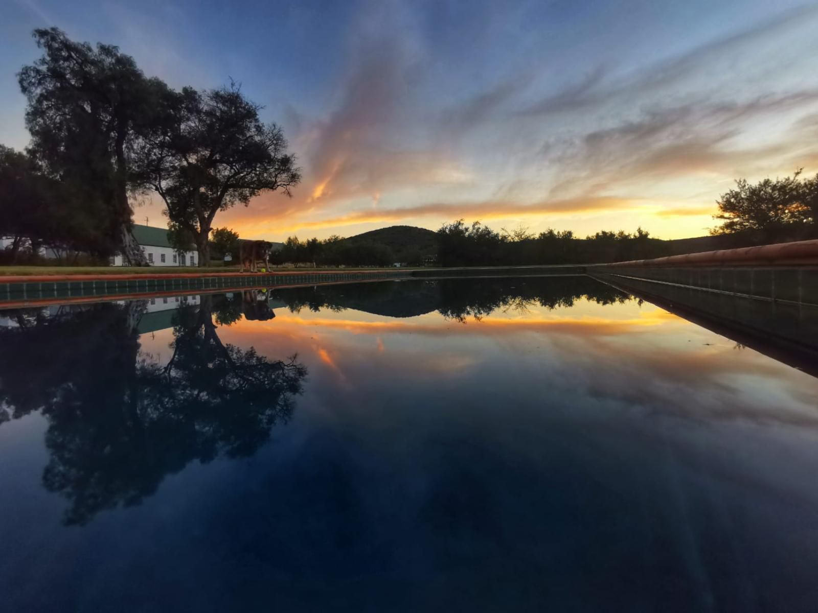 Red Mountain Ridge Karoo Oasis And Guest Farm Swartberg Private Game Reserve Western Cape South Africa Sky, Nature, Sunset