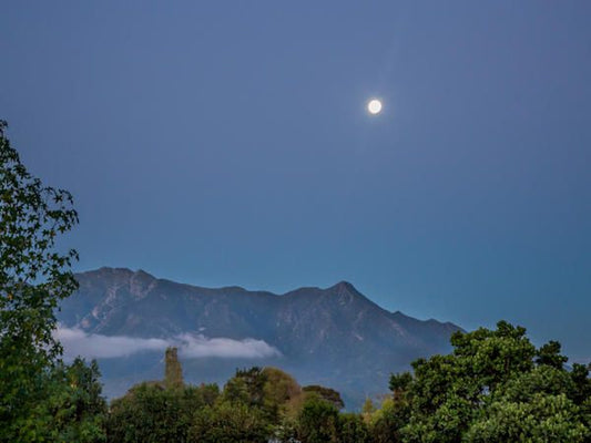 Redberry Farm Blanco George Western Cape South Africa Mountain, Nature