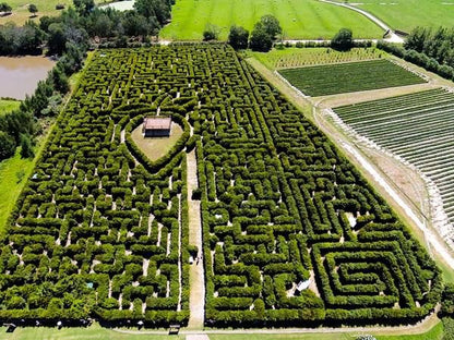 Redberry Farm Blanco George Western Cape South Africa Field, Nature, Agriculture, Aerial Photography, Garden, Plant