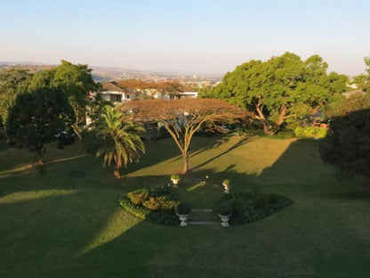 Redlands Hotel Wembley Pietermaritzburg Kwazulu Natal South Africa Palm Tree, Plant, Nature, Wood, Garden