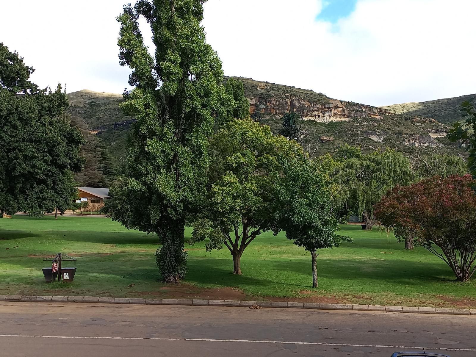 Red Mountain House Clarens Free State South Africa Tree, Plant, Nature, Wood