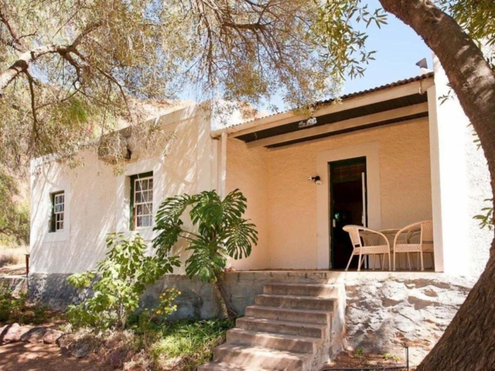 Red Stone Hills Holiday Farm Oudtshoorn Western Cape South Africa House, Building, Architecture, Palm Tree, Plant, Nature, Wood