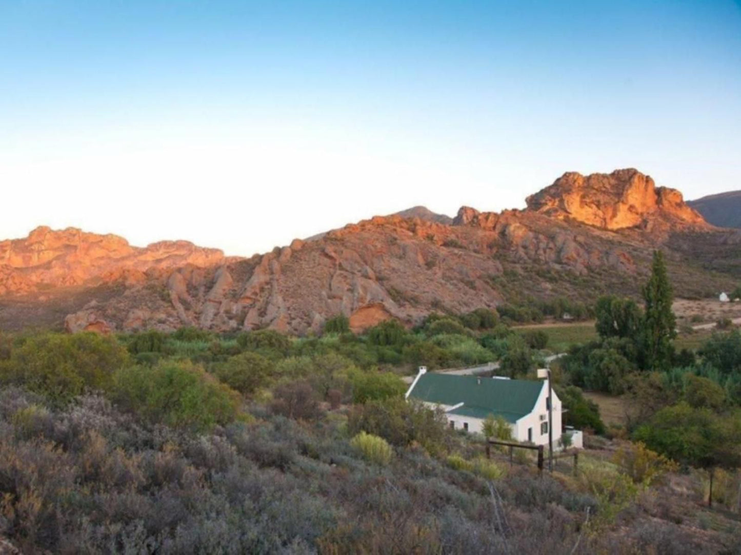 Red Stone Hills Holiday Farm Oudtshoorn Western Cape South Africa Complementary Colors, Cactus, Plant, Nature