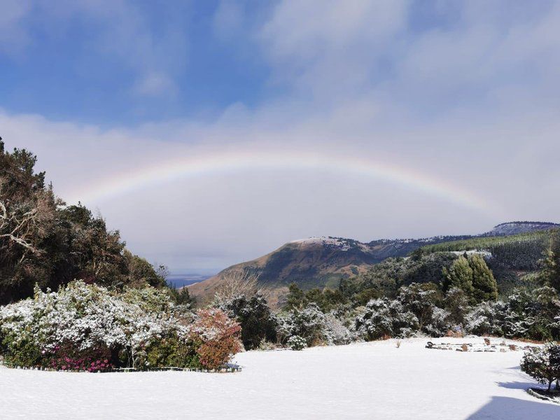 Redwood Chalet Hogsback Eastern Cape South Africa Rainbow, Nature