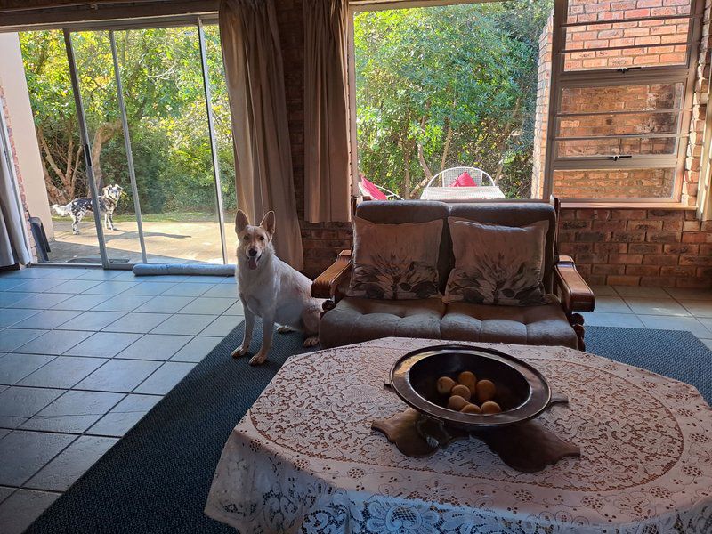 Redwood Chalet Hogsback Eastern Cape South Africa Dog, Mammal, Animal, Pet