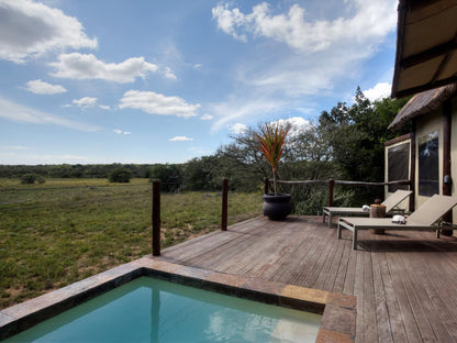 Amakhala Bush Lodge Amakhala Game Reserve Eastern Cape South Africa Swimming Pool