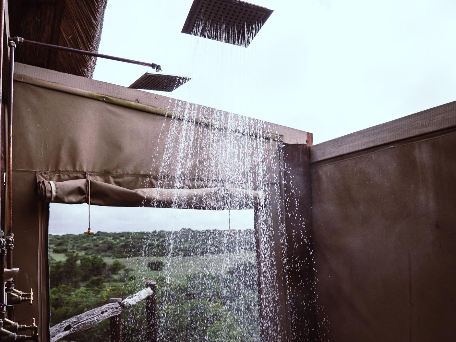 Amakhala Bush Lodge Amakhala Game Reserve Eastern Cape South Africa Rain, Nature