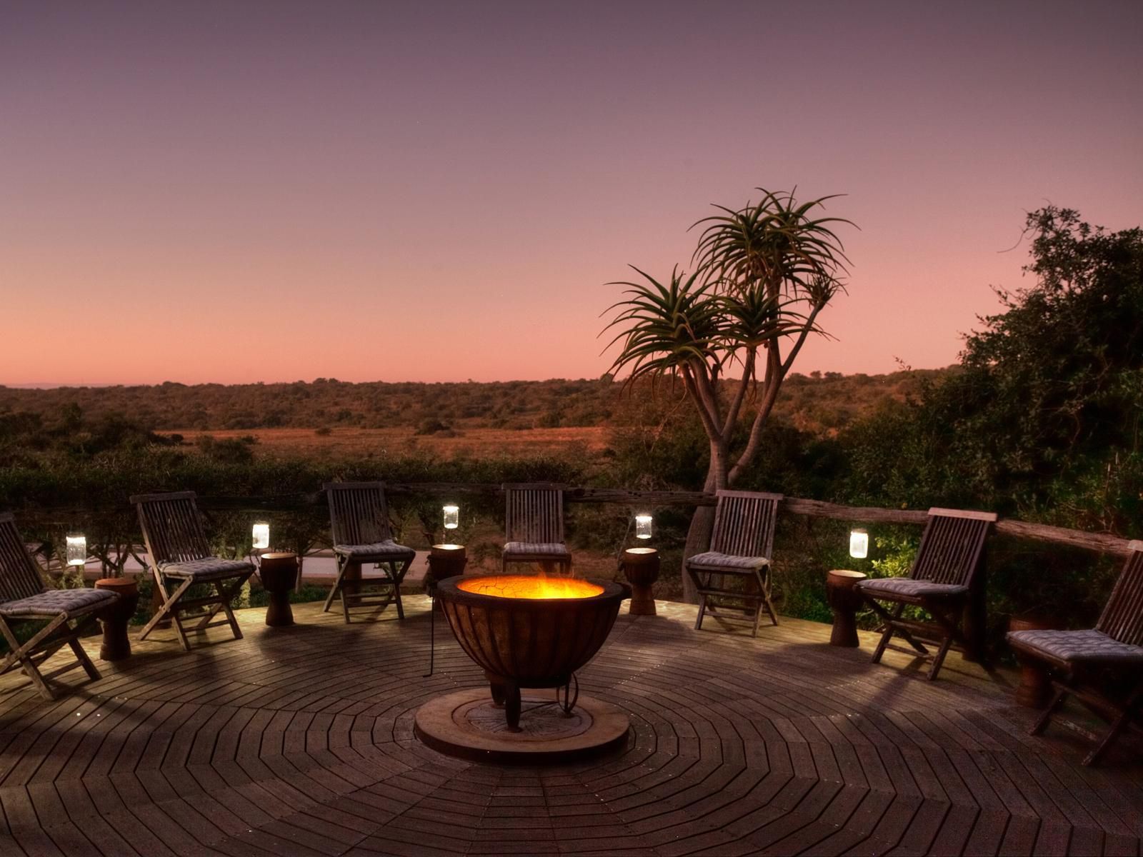 Amakhala Bush Lodge Amakhala Game Reserve Eastern Cape South Africa 