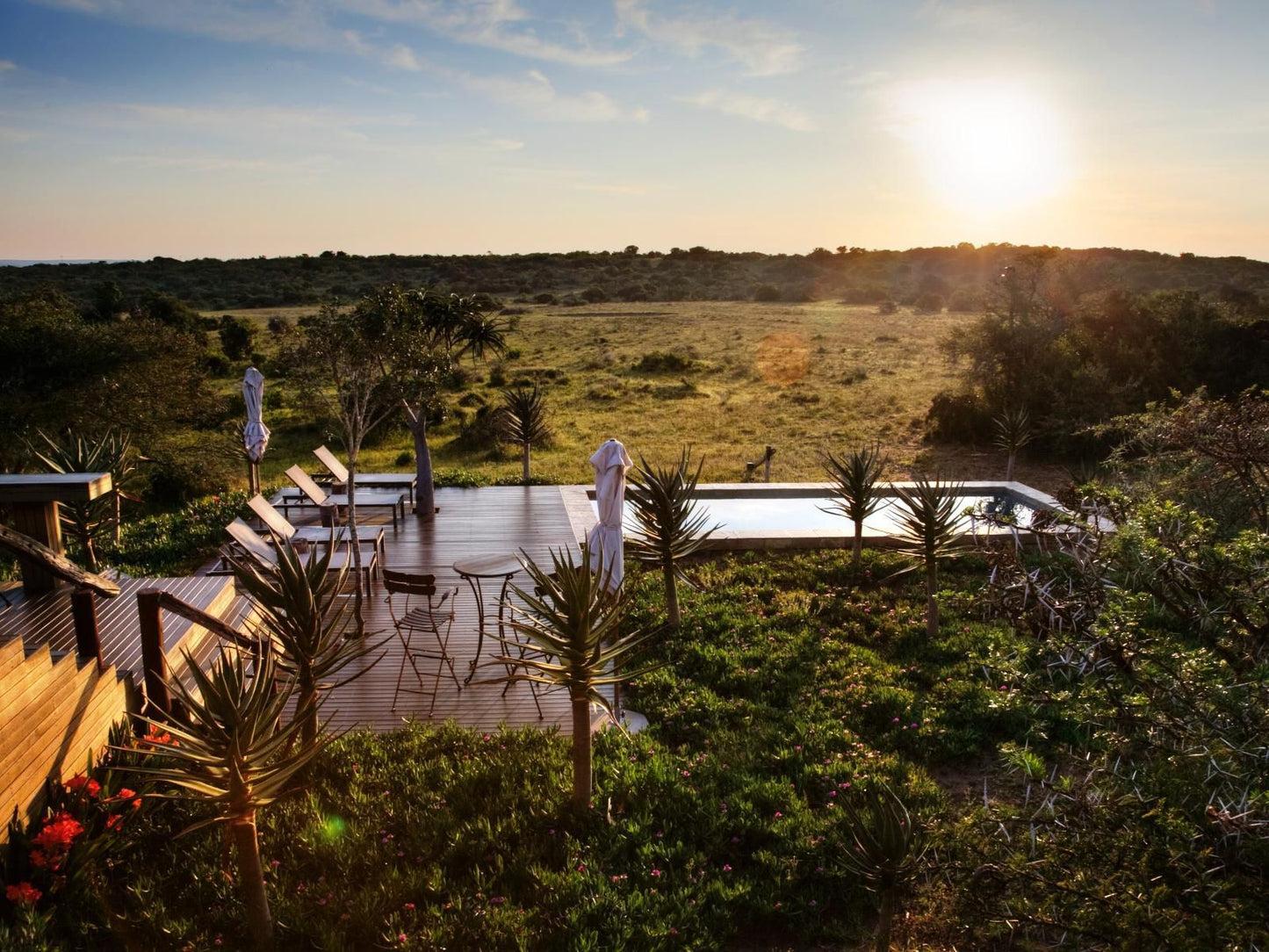 Amakhala Bush Lodge Amakhala Game Reserve Eastern Cape South Africa Palm Tree, Plant, Nature, Wood