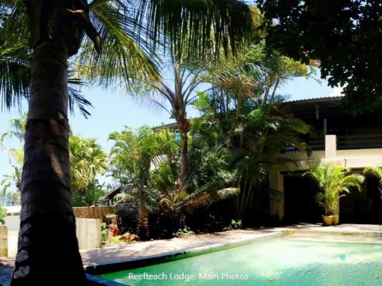 Reefteach Lodge Sodwana Bay Kwazulu Natal South Africa Beach, Nature, Sand, Palm Tree, Plant, Wood, Swimming Pool