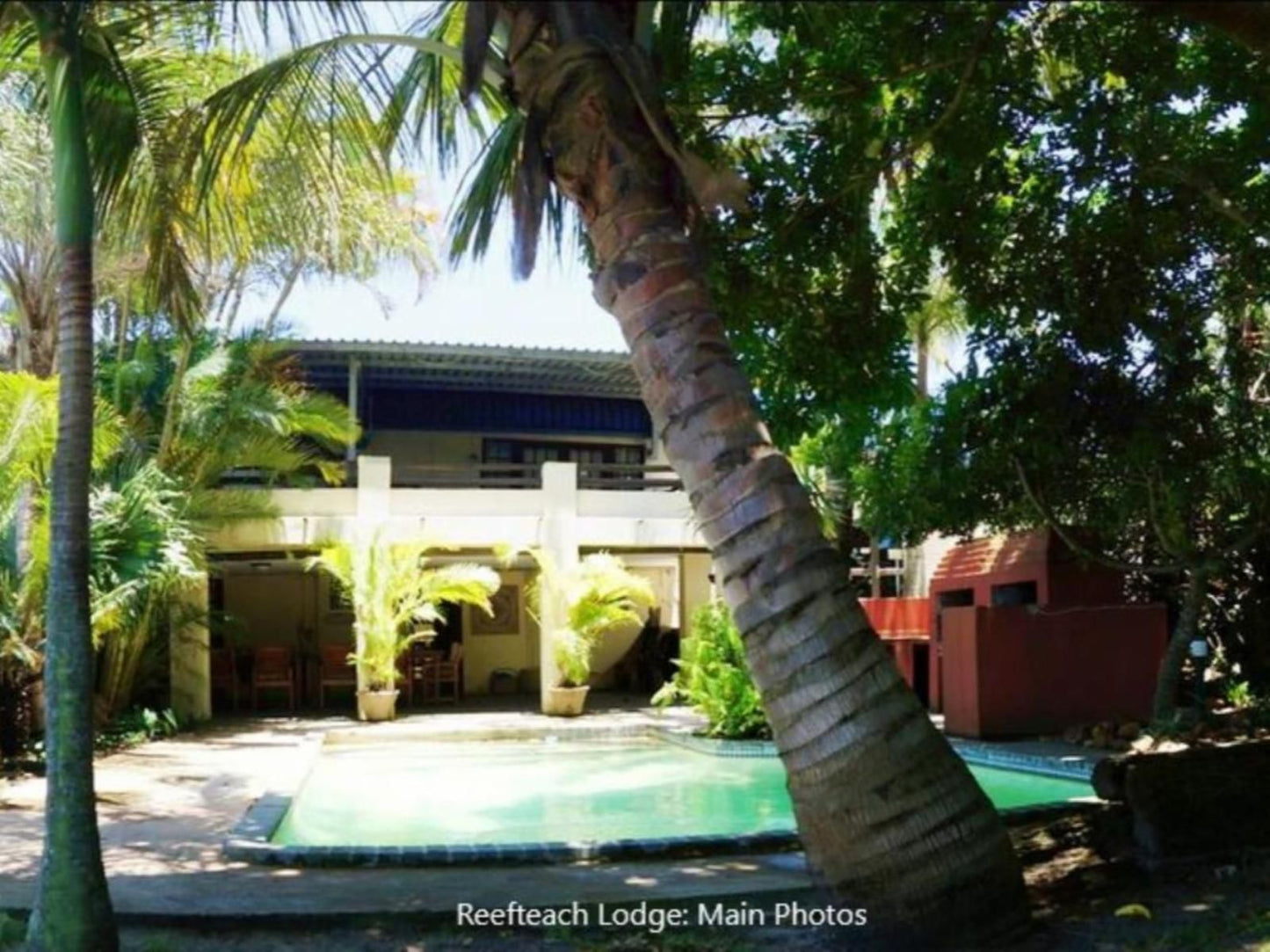 Reefteach Lodge Sodwana Bay Kwazulu Natal South Africa Palm Tree, Plant, Nature, Wood, Swimming Pool