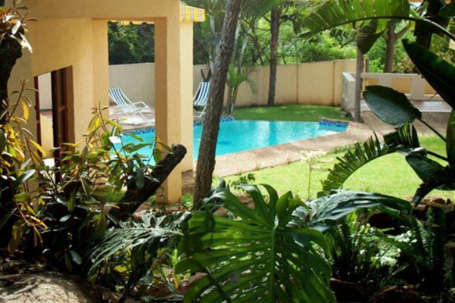 Refilwe Guesthouse Sonheuwel Nelspruit Mpumalanga South Africa Palm Tree, Plant, Nature, Wood, Garden, Swimming Pool