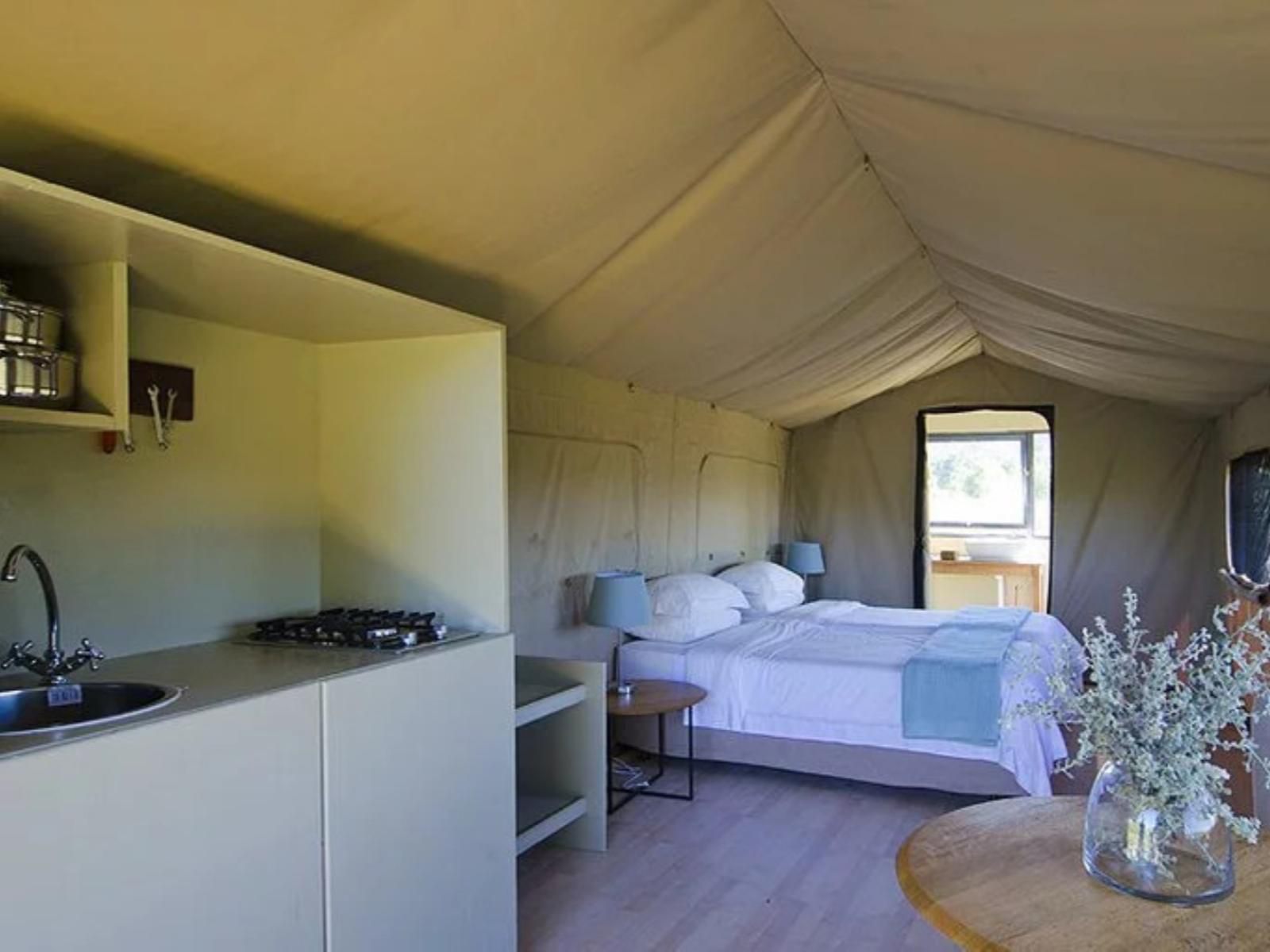 Reflections Eco Reserve Wilderness Western Cape South Africa Tent, Architecture, Bedroom