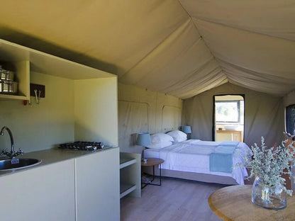 Reflections Eco Reserve Wilderness Western Cape South Africa Tent, Architecture, Bedroom