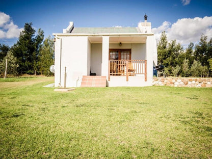 Reflections Guest Farm Tulbagh Western Cape South Africa Complementary Colors