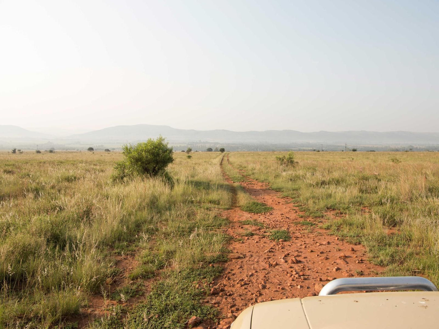 Remhoogte Mountain Lodge Skeerpoort Hartbeespoort North West Province South Africa Field, Nature, Agriculture, Desert, Sand, Lowland