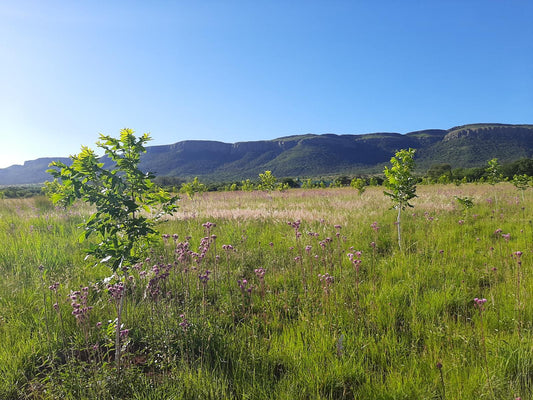 Remhoogte Mountain Lodge Skeerpoort Hartbeespoort North West Province South Africa Complementary Colors, Field, Nature, Agriculture, Meadow, Highland