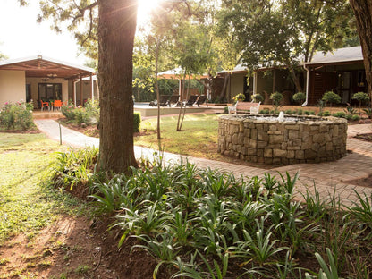 Remhoogte Mountain Lodge Skeerpoort Hartbeespoort North West Province South Africa Palm Tree, Plant, Nature, Wood, Garden