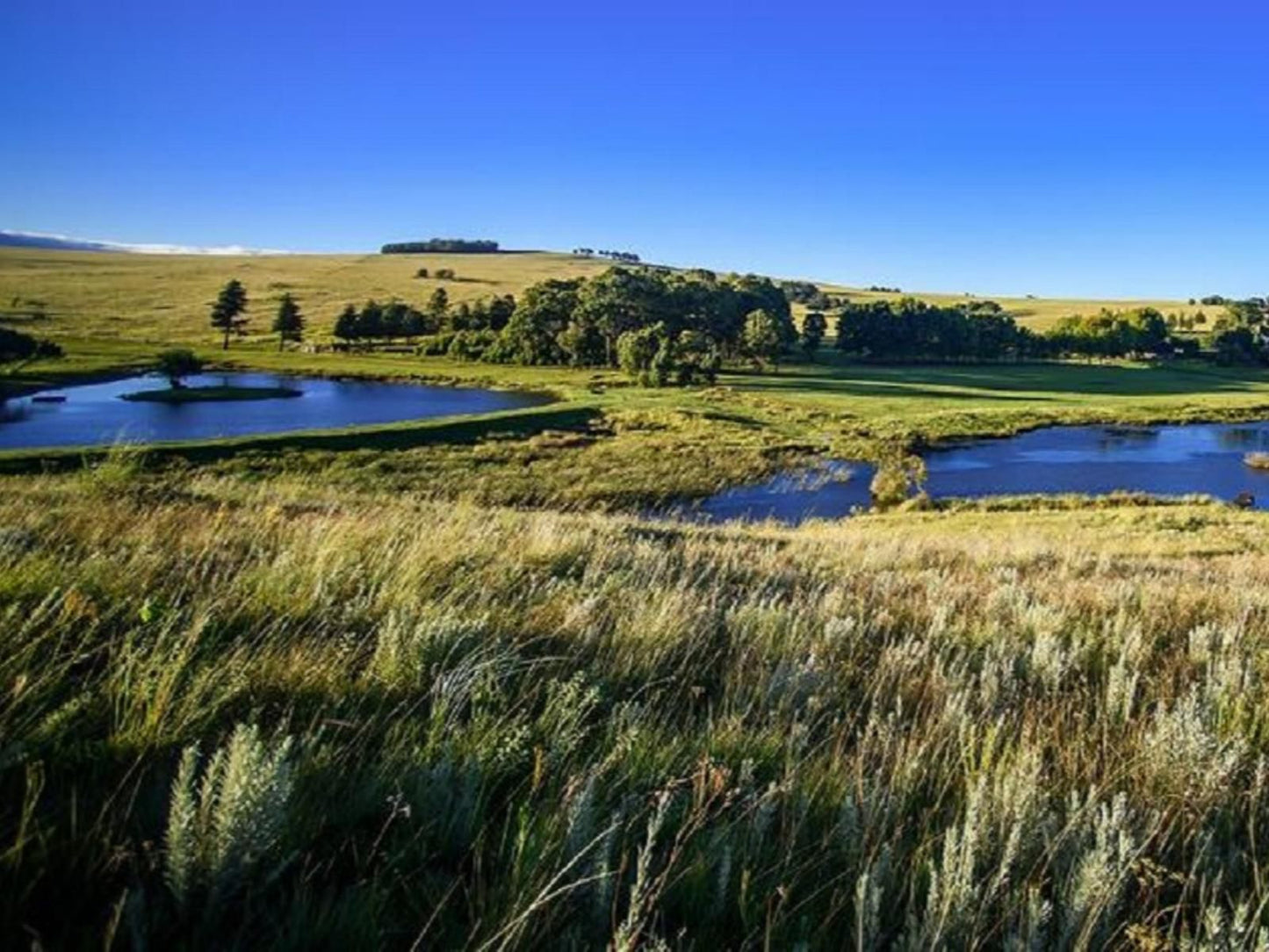 Remi Lodge Dullstroom Mpumalanga South Africa Complementary Colors, Lowland, Nature