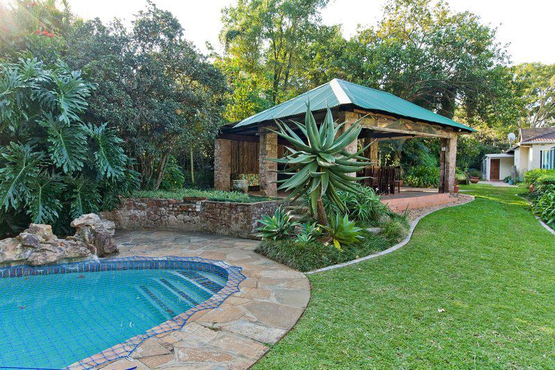 Rest Assured B And B Gillits Durban Kwazulu Natal South Africa Garden, Nature, Plant, Swimming Pool