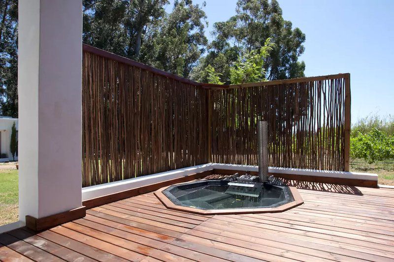 Rest Chabivin Vineyard Studio Paradyskloof Stellenbosch Western Cape South Africa Garden, Nature, Plant, Swimming Pool