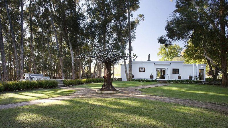 Rest Chabivin Vineyard Studio Paradyskloof Stellenbosch Western Cape South Africa House, Building, Architecture, Palm Tree, Plant, Nature, Wood, Garden, Living Room