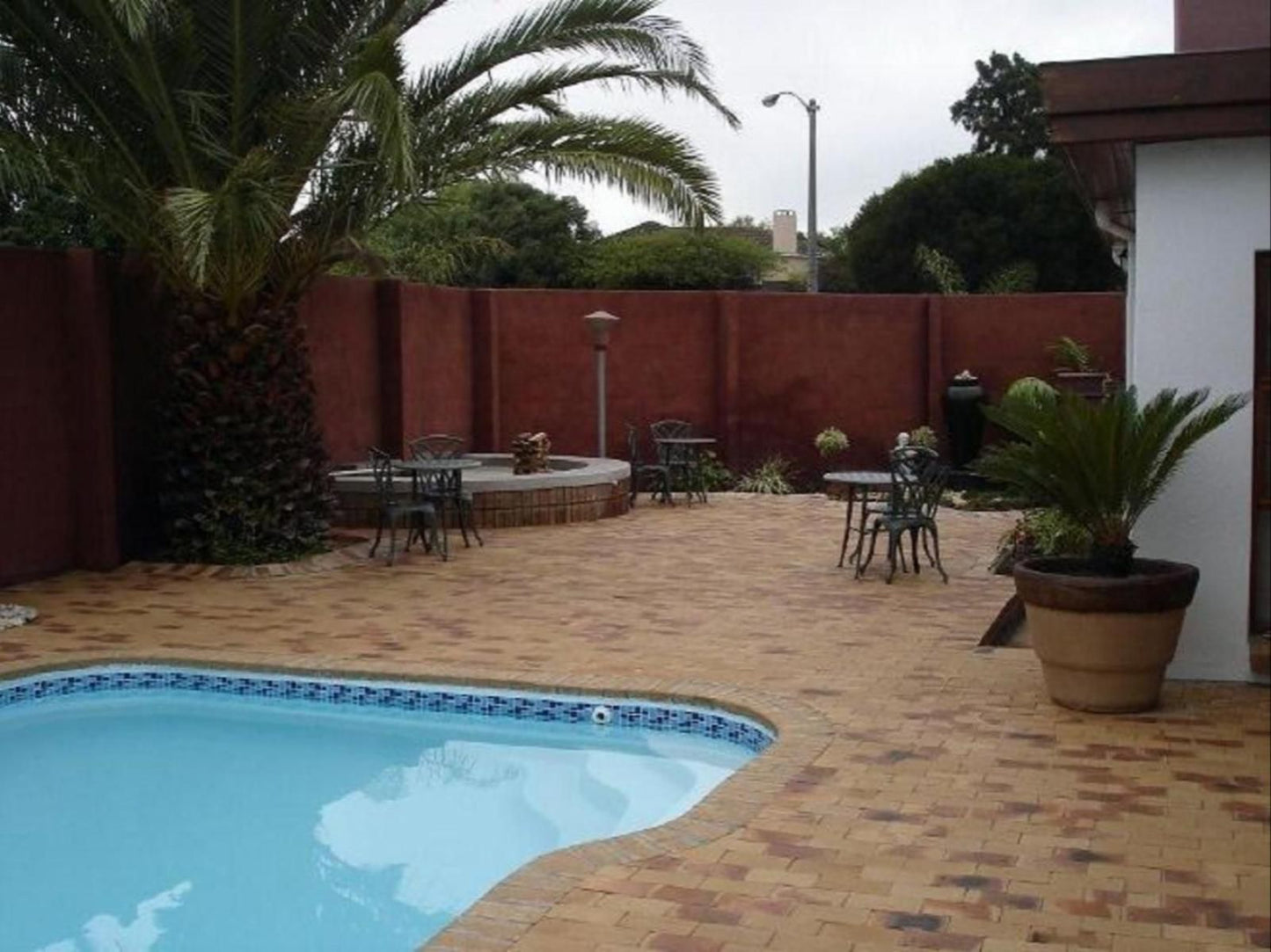 Rest For Guest Brackenfell Cape Town Western Cape South Africa Palm Tree, Plant, Nature, Wood, Garden, Swimming Pool