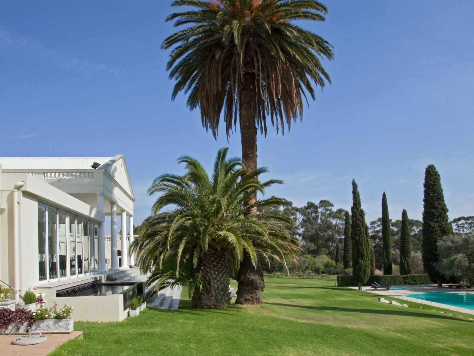 Retreat At Waterfall Valley, House, Building, Architecture, Palm Tree, Plant, Nature, Wood