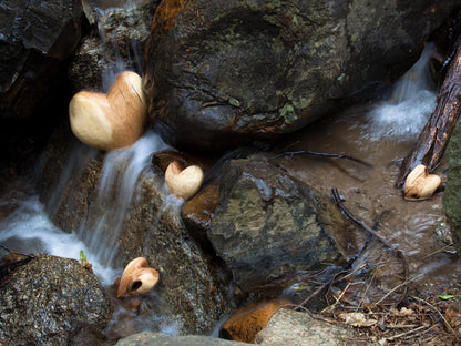 Retreat At Waterfall Valley, Waterfall, Nature, Waters