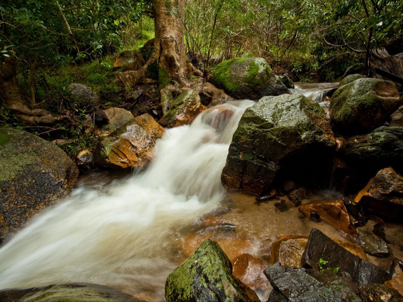 Retreat At Waterfall Valley, River, Nature, Waters, Tree, Plant, Wood, Waterfall