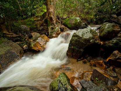 Retreat At Waterfall Valley, River, Nature, Waters, Tree, Plant, Wood, Waterfall